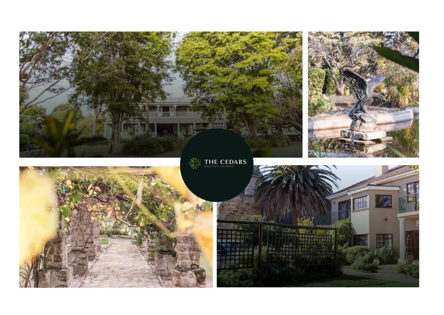 Discover Recovery Options in Johannesburg With Confidence