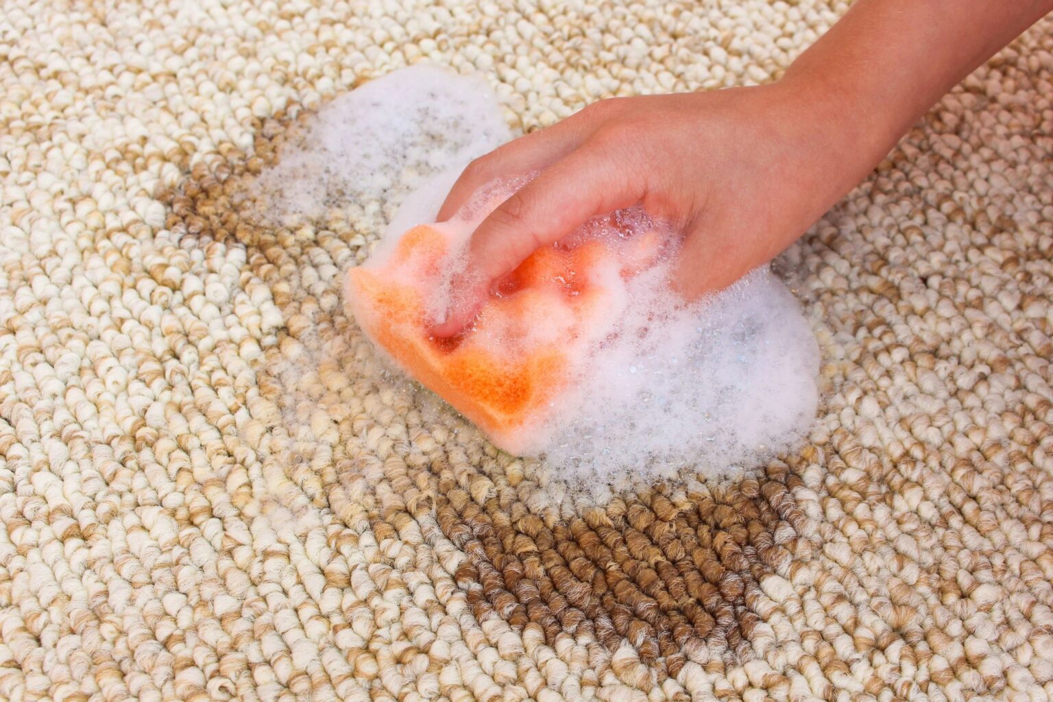 How to Choose a Shampoo Bar in the UK: Buyer Guide How to Choose a Shampoo Bar in the UK: Buyer Guide